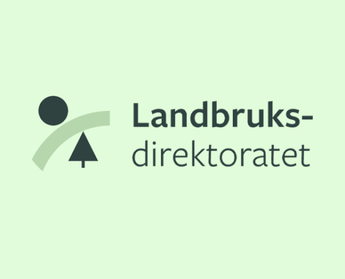 logo anim konsept ldir